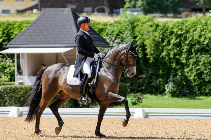 Stefan Lehfellner mit L’Espoir beim CDI Achleiten in Oberösterreich